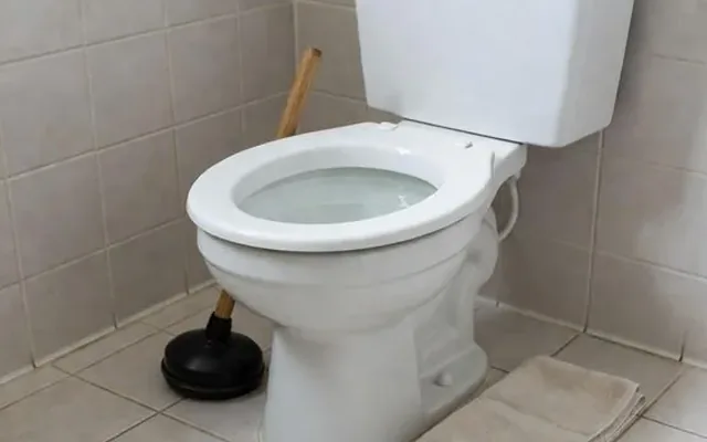 A toilet with a flange plunger beside it